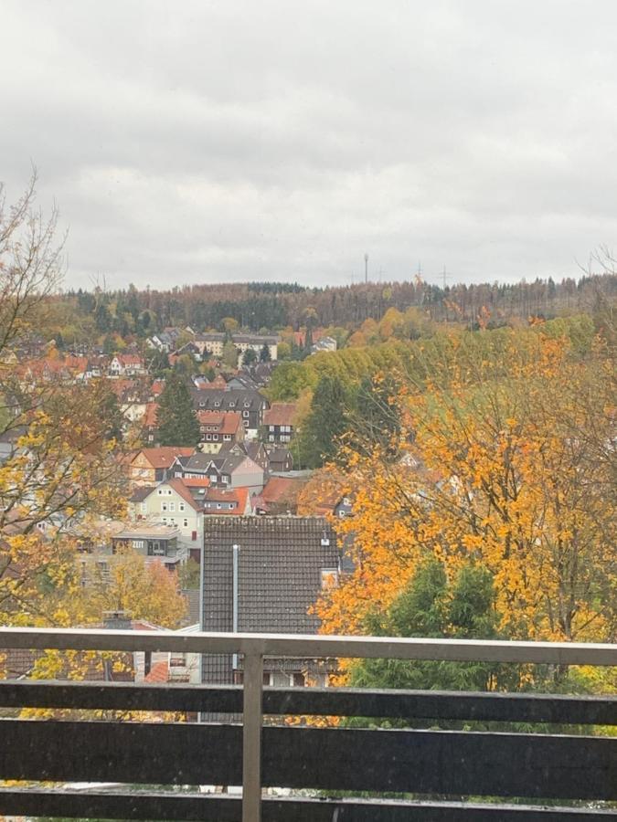Harz 21 Apartment Braunlage Ngoại thất bức ảnh